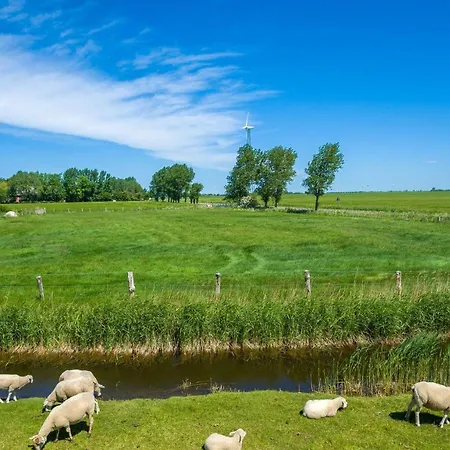 Ferienwohnung-ausblick Apartmán Vitzdorf